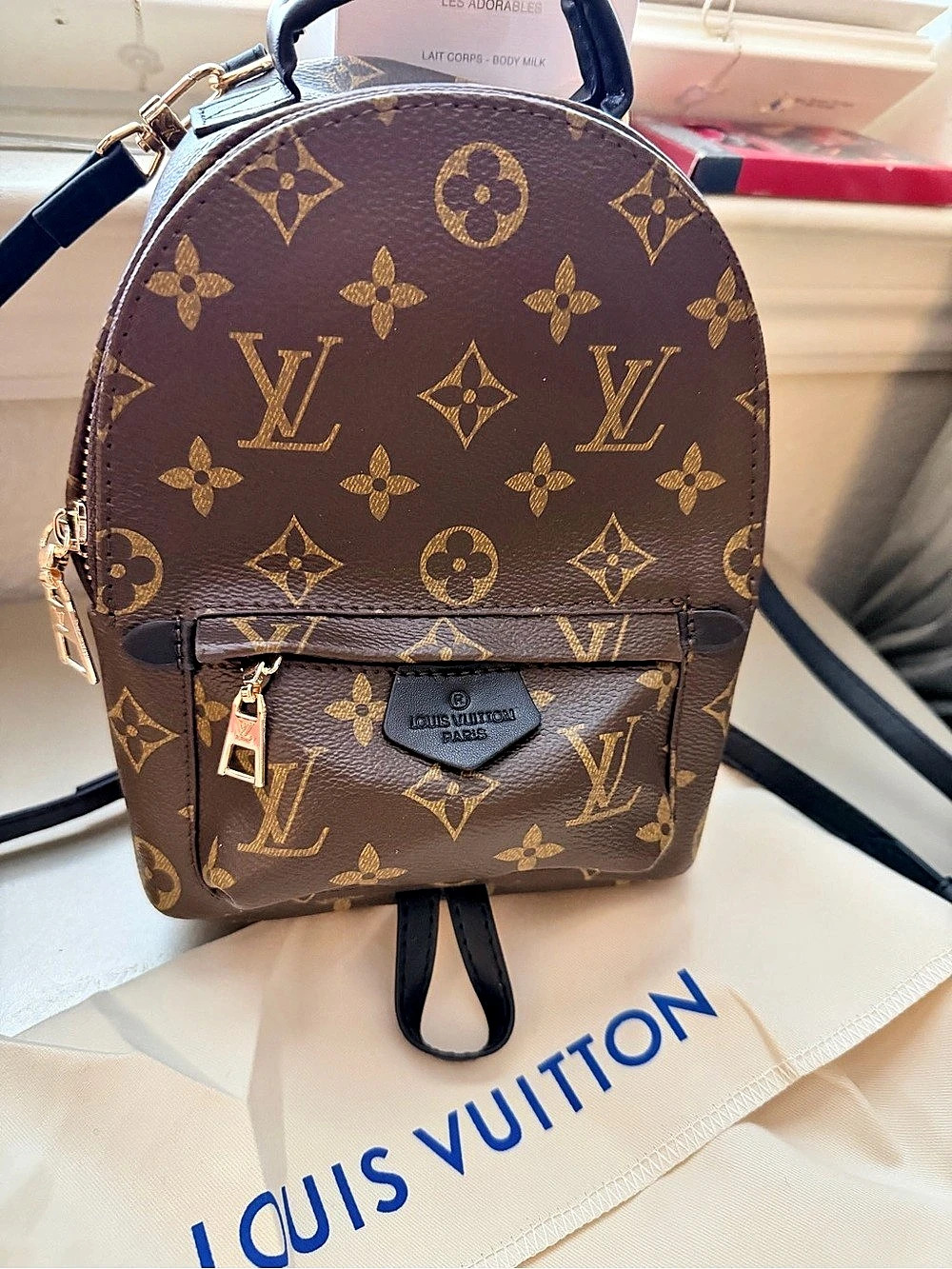 Monogram Palm Springs Mini Backpack - Picture 3 of 13